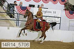 14r14_5706 proof