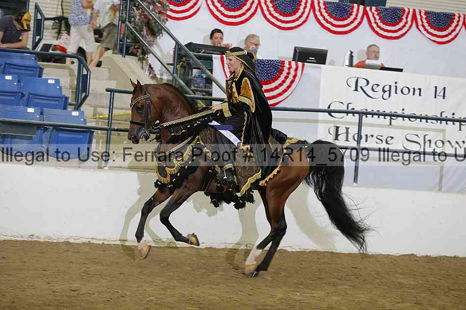 Proof 14r14_5709