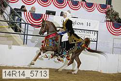 14r14_5713 proof