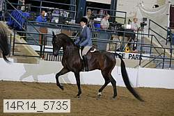 14r14_5735 proof