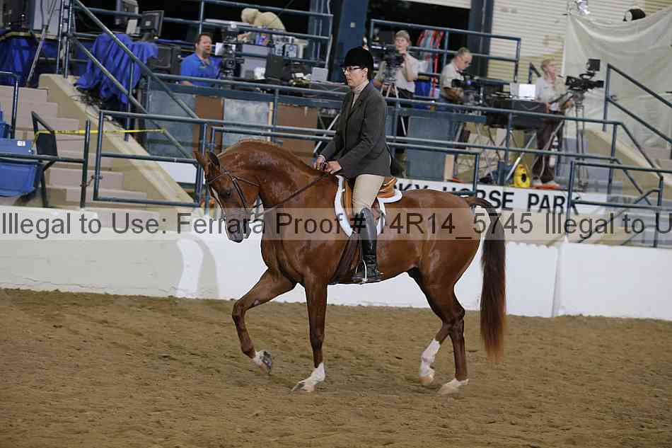Proof 14r14_5745