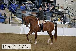14r14_5745 proof