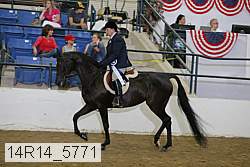 14r14_5771 proof