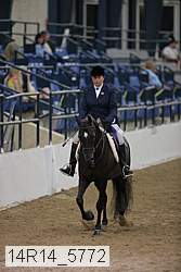 14r14_5772 proof