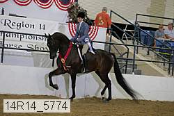 14r14_5774 proof