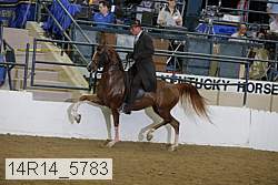 14r14_5783 proof