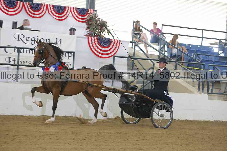 Proof 14r14_5802