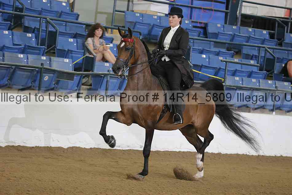 Proof 14r14_5809