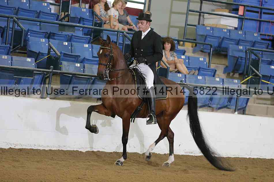 Proof 14r14_5822