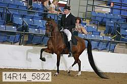 14r14_5822 proof