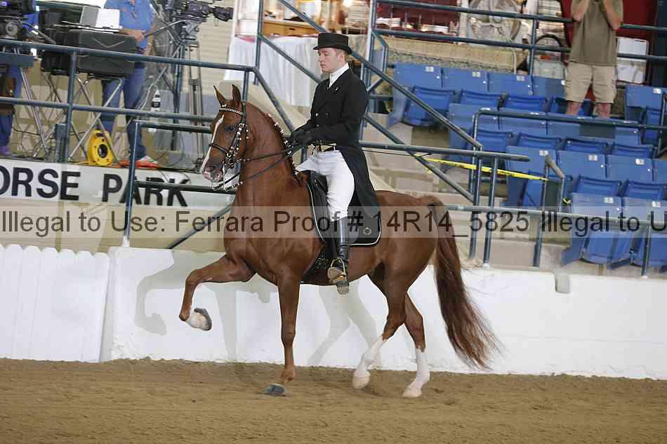 Proof 14r14_5825