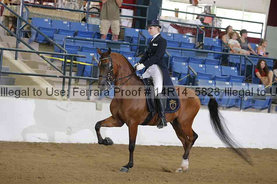 Proof 14r14_5828