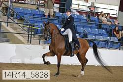 14r14_5828 proof