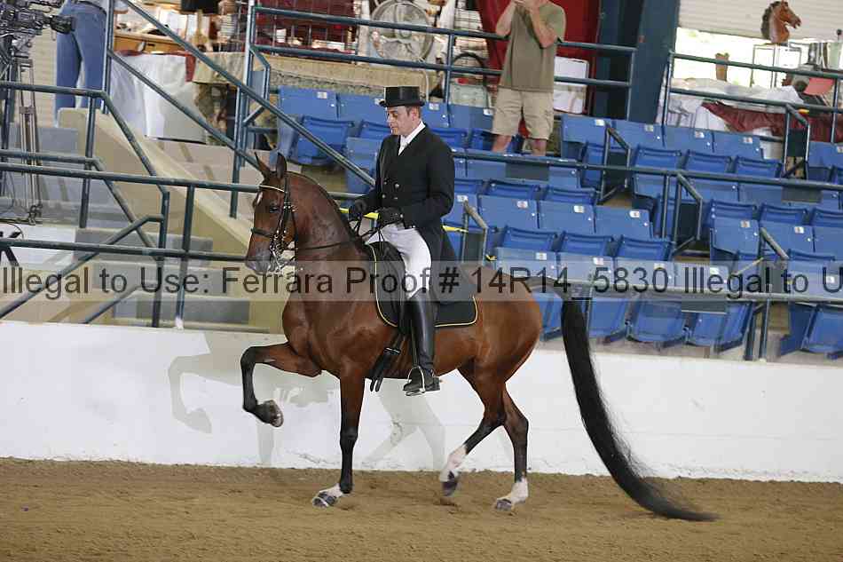 Proof 14r14_5830