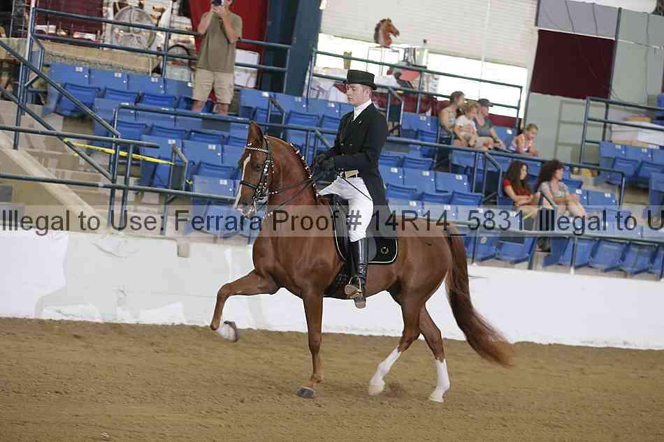 Proof 14r14_5831