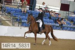 14r14_5831 proof