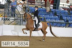 14r14_5834 proof