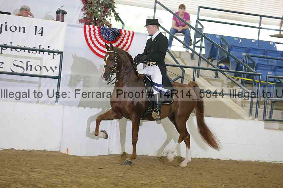 Proof 14r14_5844