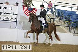 14r14_5844 proof