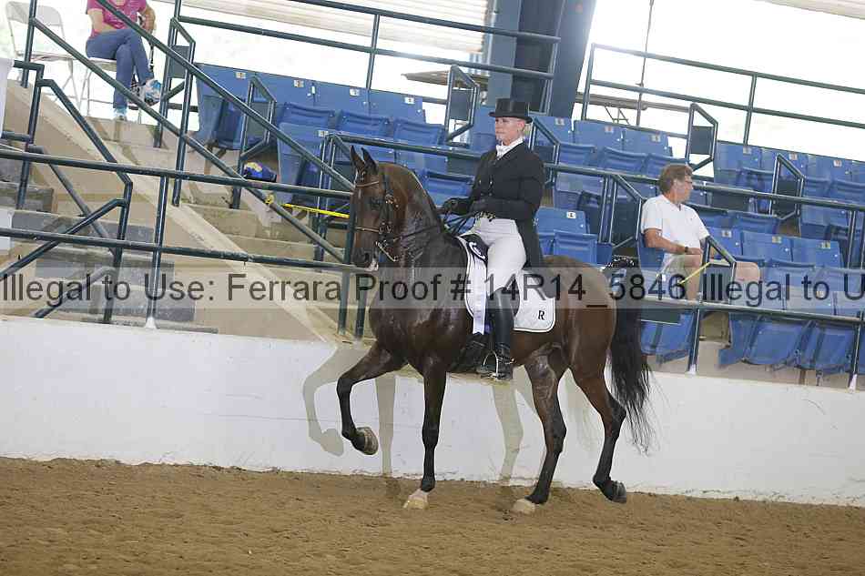 Proof 14r14_5846