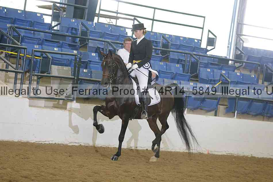 Proof 14r14_5849