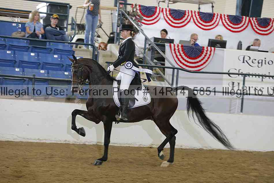 Proof 14r14_5851