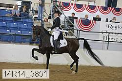 14r14_5851 proof
