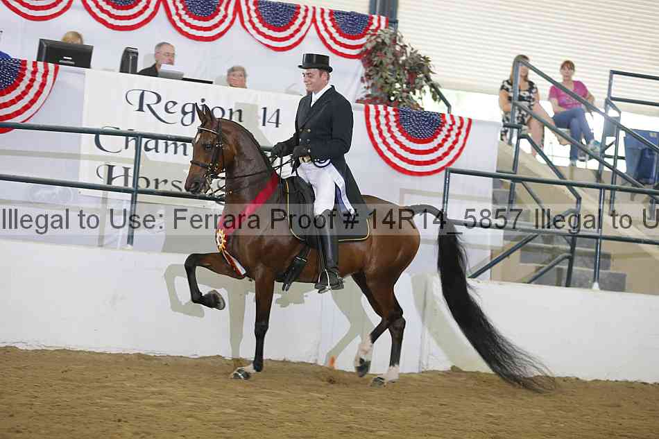 Proof 14r14_5857