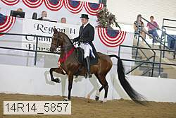 14r14_5857 proof