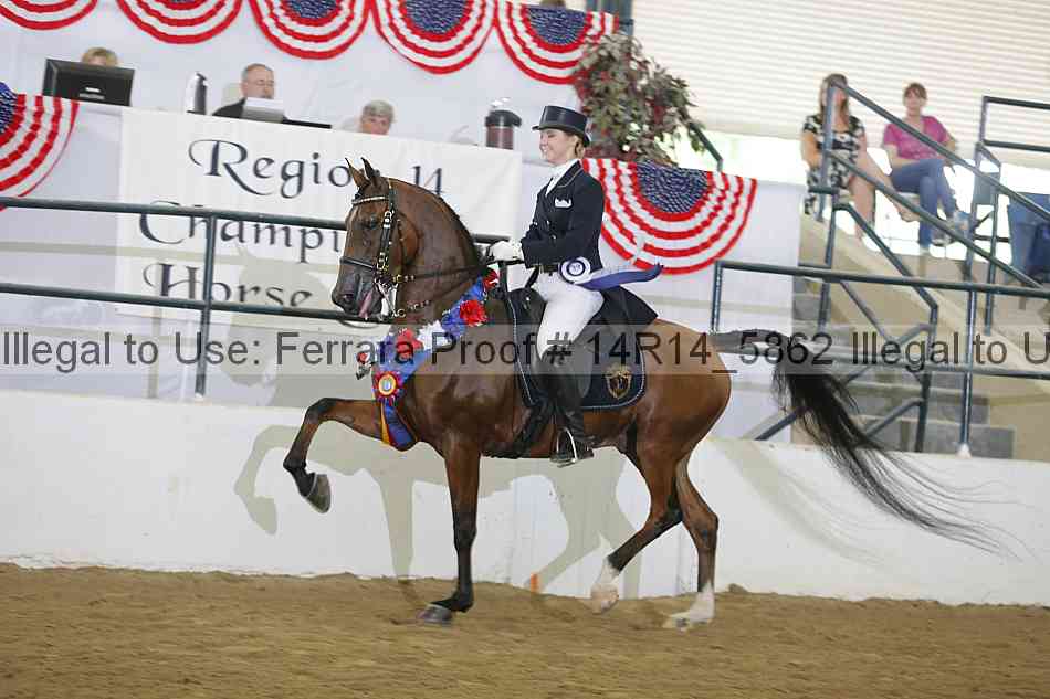 Proof 14r14_5862