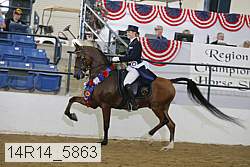 14r14_5863 proof