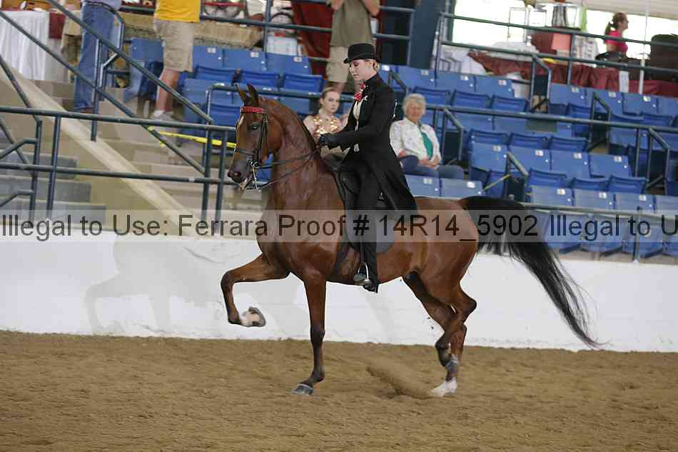 Proof 14r14_5902