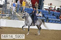 14r14_5907 proof