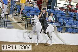 14r14_5908 proof