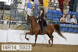 14r14_5923 proof