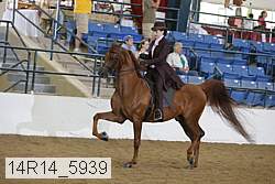 14r14_5939 proof