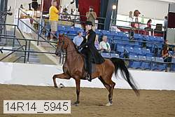 14r14_5945 proof