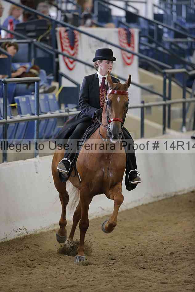 Proof 14r14_5951