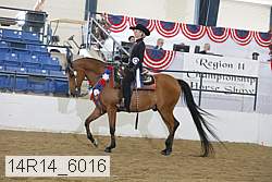 14r14_6016 proof