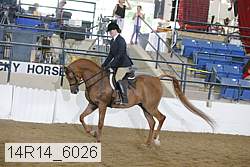 14r14_6026 proof