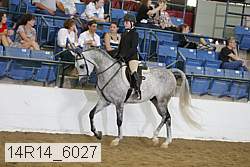 14r14_6027 proof