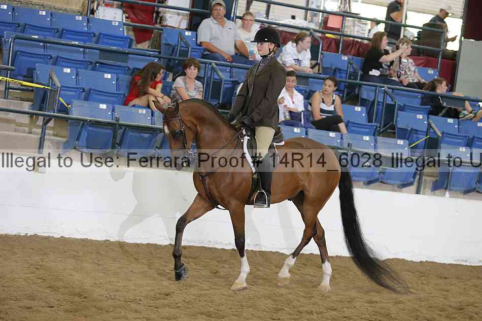 Proof 14r14_6028