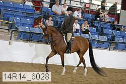 14r14_6028 proof