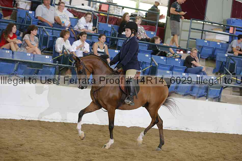 Proof 14r14_6029