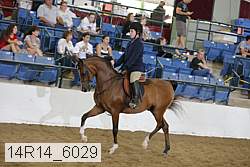 14r14_6029 proof