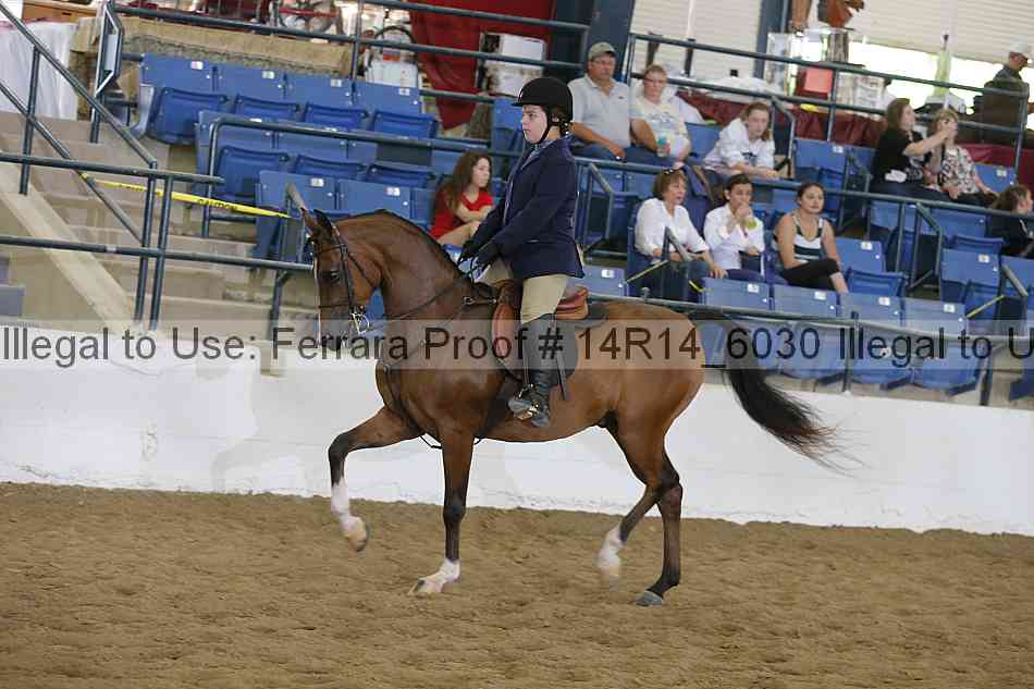 Proof 14r14_6030
