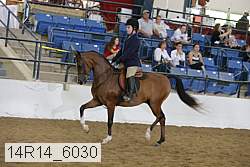 14r14_6030 proof