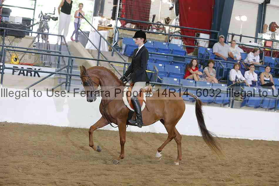 Proof 14r14_6032