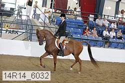 14r14_6032 proof