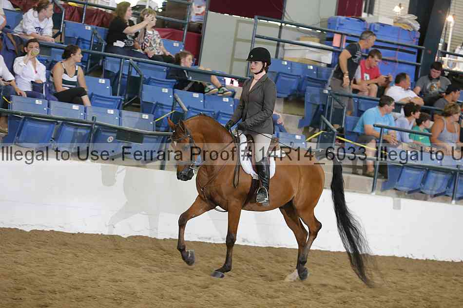 Proof 14r14_6033